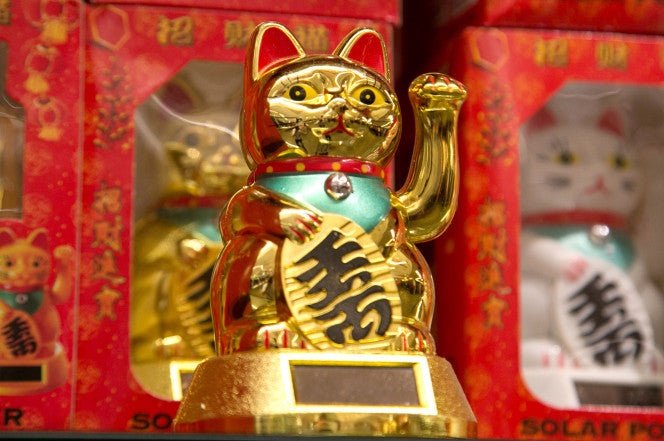 Gold lucky cat in front of boxes of gold and white lucky cats