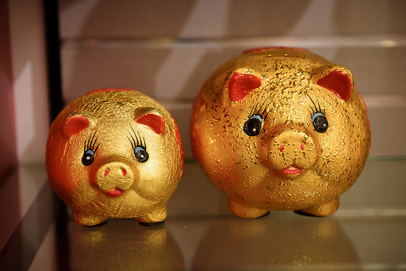 Two cute gold piggy banks, one medium, one small