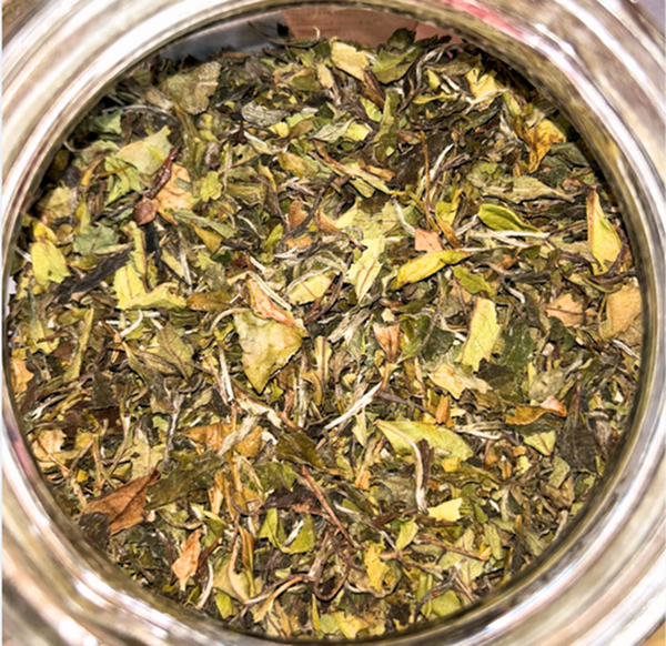 Organic Mudan White Tea