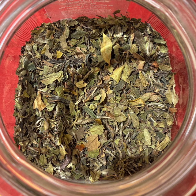 Jar of organic mudan white tea leaves