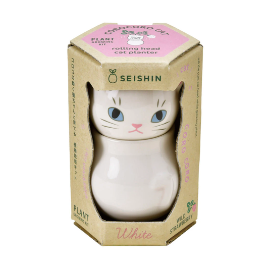 Cat-shaped planter in a Seishin box on a white background