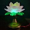 Lotus table lamp lighting up