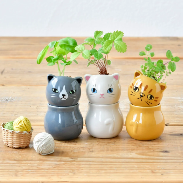 Three cat-shaped ceramic planters with plants on a wooden surface