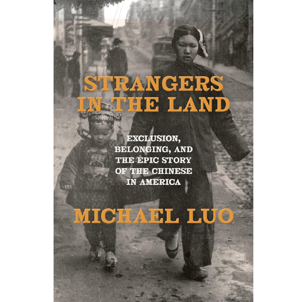 Book cover of 'Strangers in the Land' with two children walking on a street.