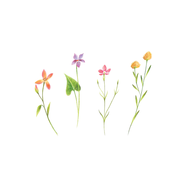 Petite floral tattoos