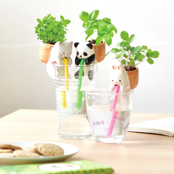 Chuppon Plant - Growing Garden assortment. There is a cat, panda, and bunny.