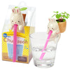 Chuppon Plant - Growing Garden. Bunny with wild strawberry.