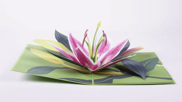 Green pop-up card with beautiful pink lily