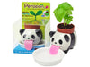 Peropon Plant - Growing Garden - Panda (Sweet Basil)