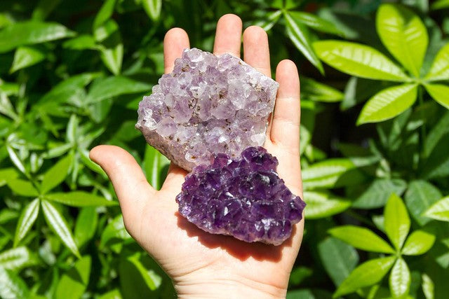 Hand holding two amethyst-encrusted stones in front of green leaves