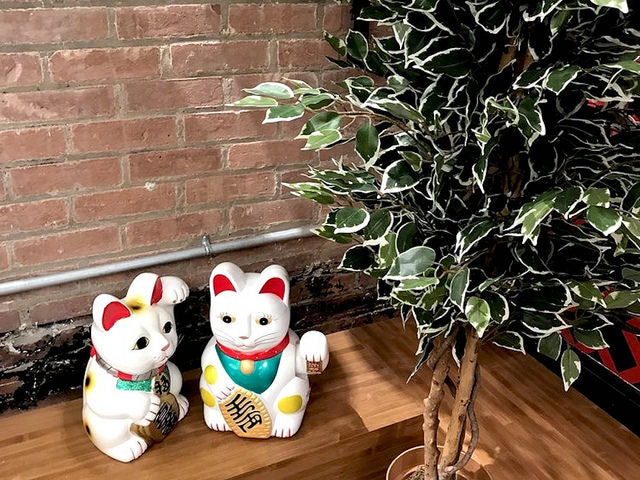 Two white lucky cats near plant
