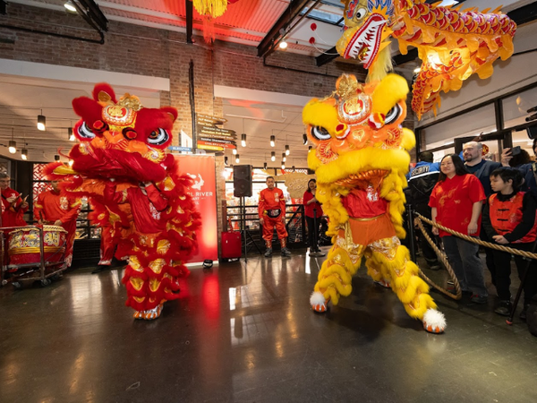 Two lion dancing performers in front of a crowd