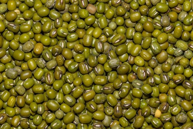 Close-up of mung beans