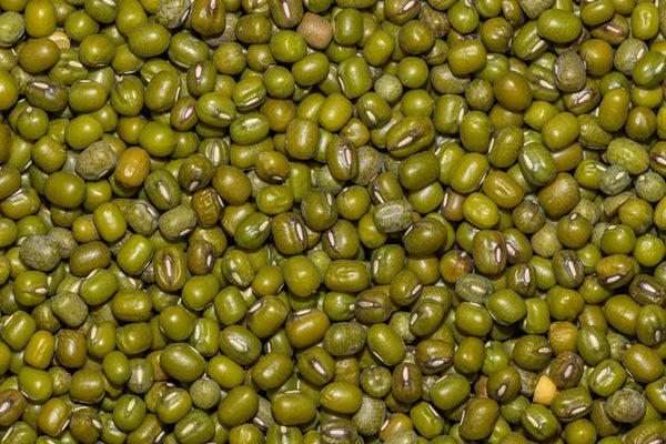 Close-up of mung beans