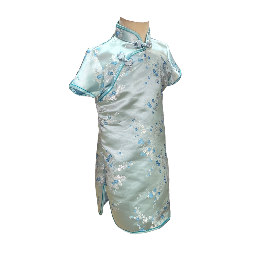 Baby Blue Blossom Short Sleeve Brocade Girls Dress