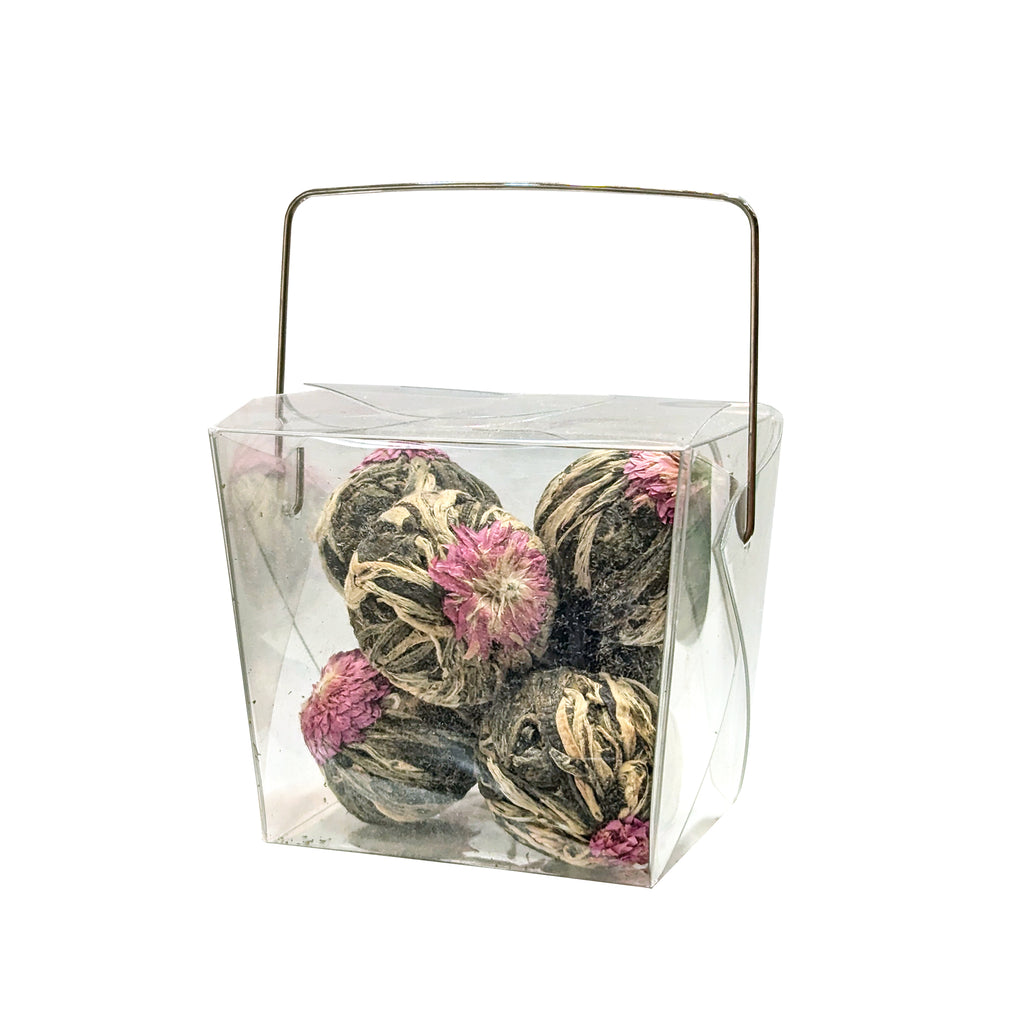 Blooming Flowering Jasmine Tea Bulb