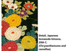 Greeting Card  Detail, Japanese tomesode kimono, 20th C. (Chrysanthemums and camellias)