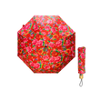 Floral patterned umbrella open andclosed on a white background