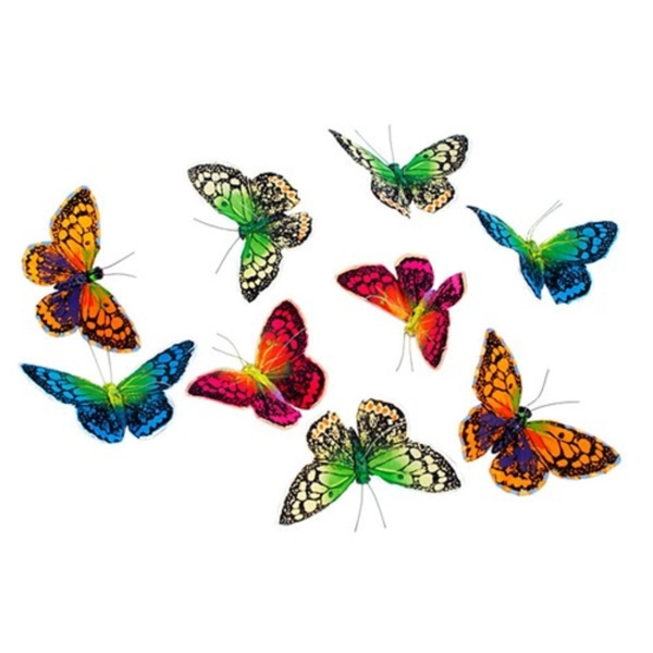 Colorful butterflies on a white background