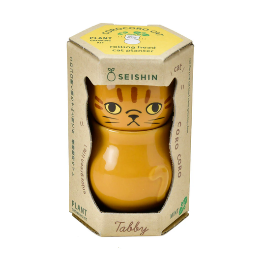 Cat-shaped planter in a Seishin box on a white background
