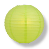 Green paper lantern on a white background