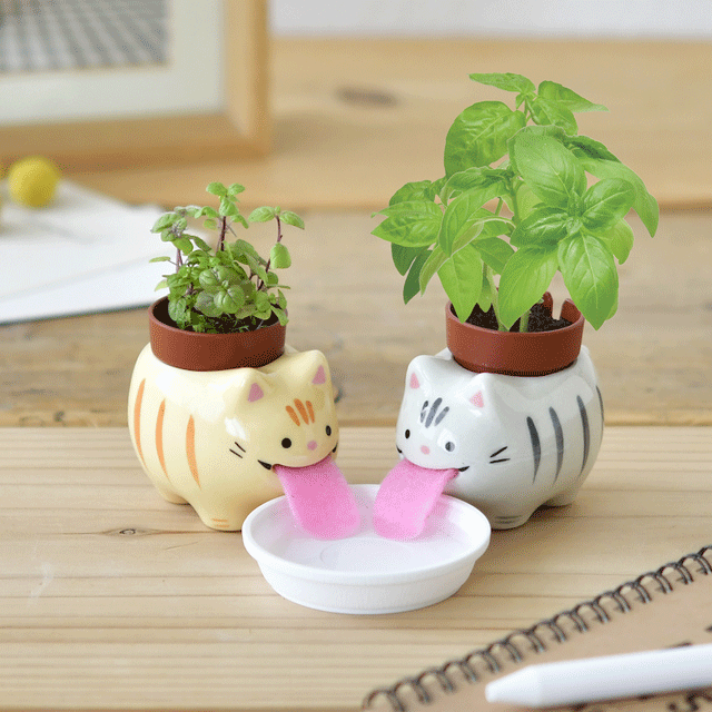 cats in plant pots Peropon Plant - Growing Garden