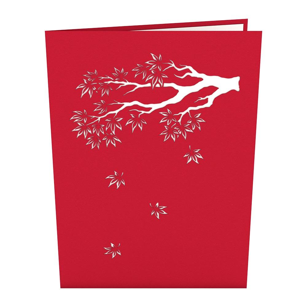 Pop-Up Card: Japanese Maple