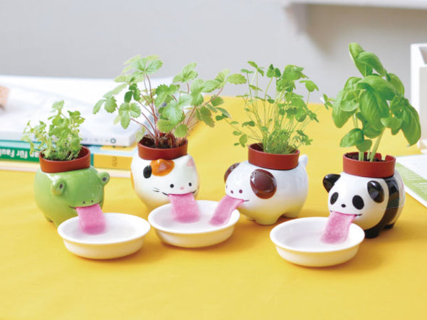 Peropon Plant - Growing Garden - frog, cat, dog, and panda on display