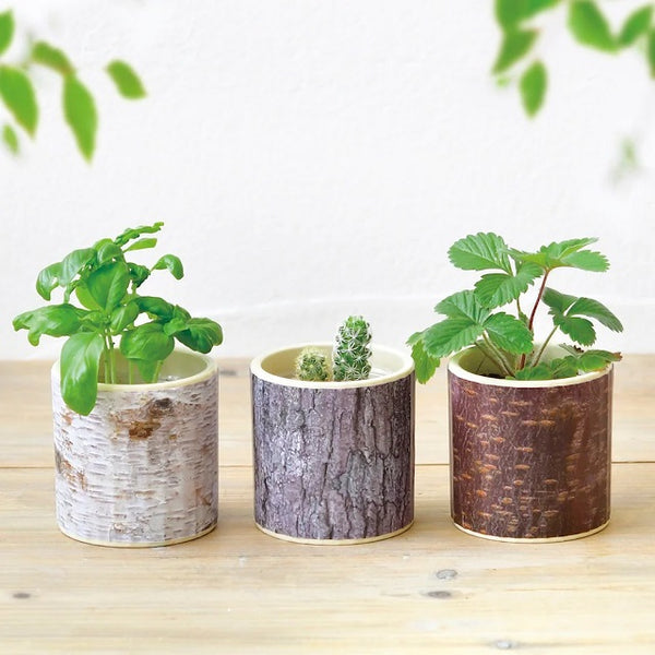 All styles of Stump Garden sprouting