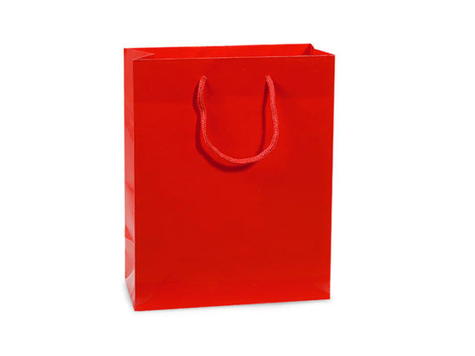 Heavyweight Paper gift bag
