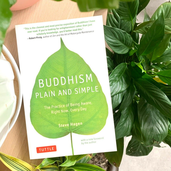Buddhism Plain and Simple: The Practice of Being Aware, Right Now, Every Day Cover