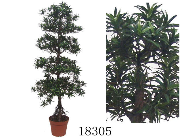 Artificial Plant - Pine Tree (70" H)
