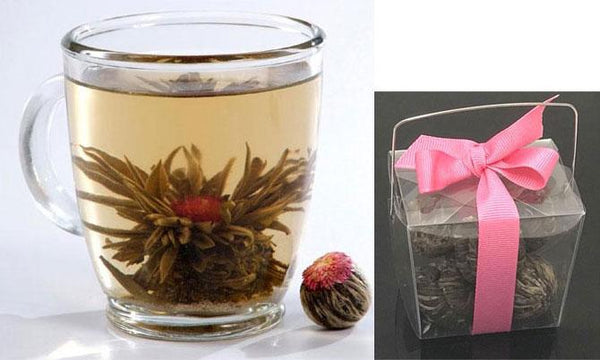 Jasmine Tea Bulb blooming in a tea cup with another Tea Bulb right next to it. Beside that is a plastic container tied with a pink ribbon. Inside the container are more Tea Bulbs