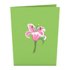 Exterior of green card with pink lily design