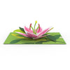 Green pop-up card with beautiful pink lily