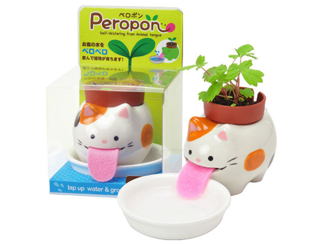 cat self watering planter Peropon Plant