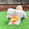 Shrimp Chips Dog Toy: white dog chewing on shrimp chips dog toy
