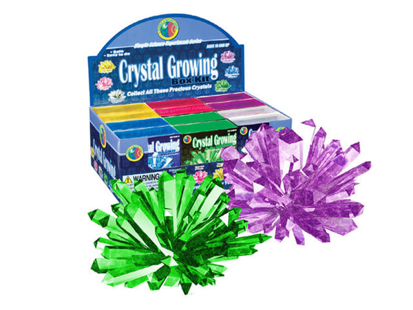 Fully grown green and purple crystals in front of the crystal growing box kit